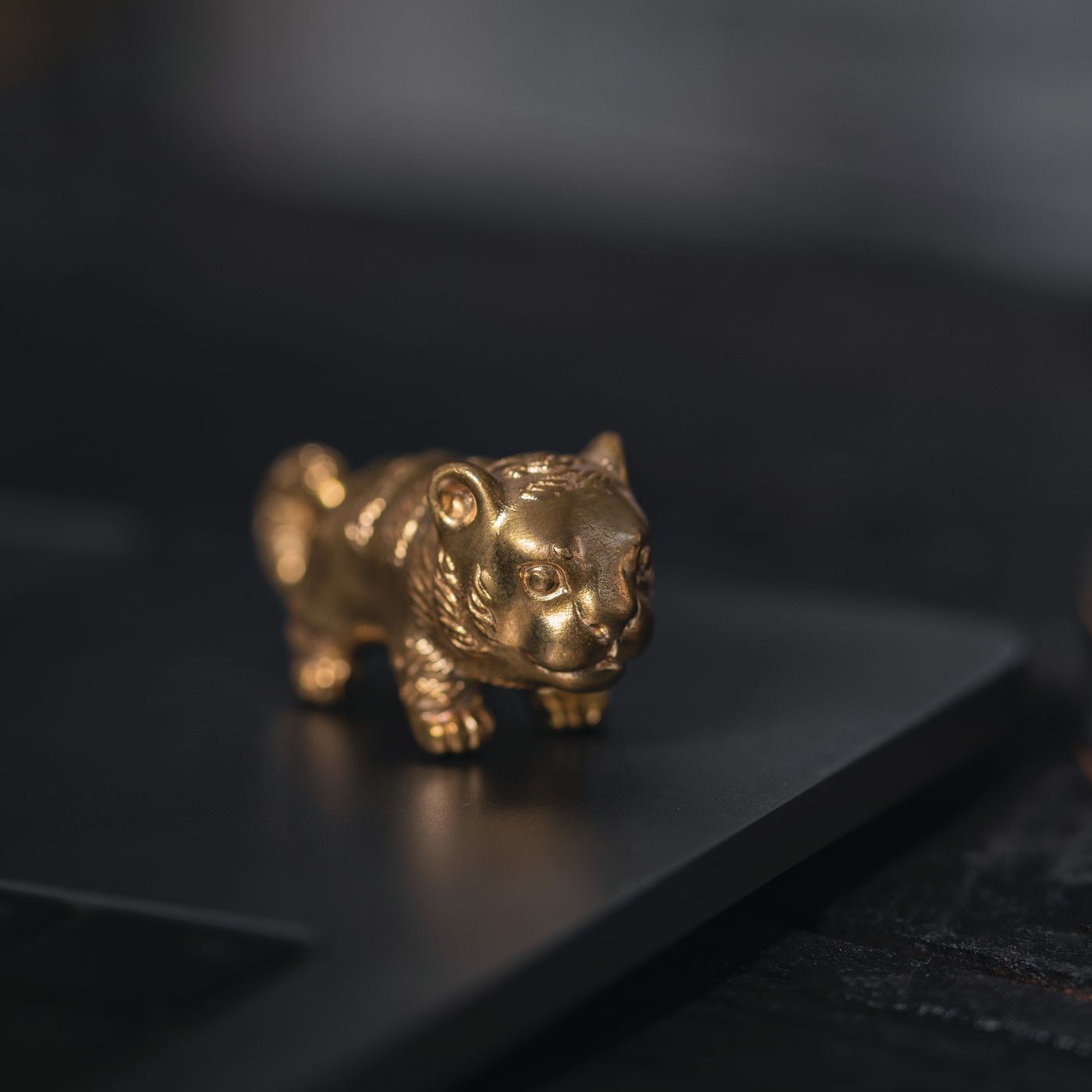 Sleeping Cat Paperweight
