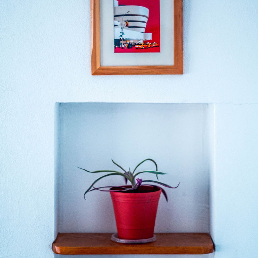 Hanging Planter Linen